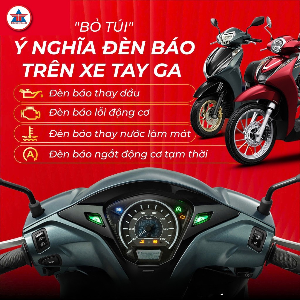 BỎ TÚI